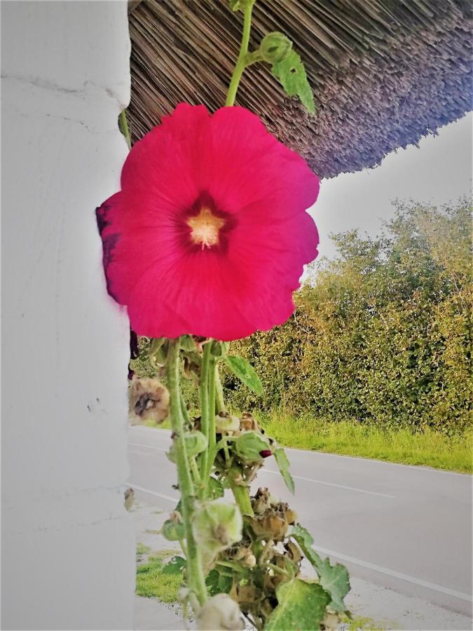莫鲁The Whispering Apple Garden Retreat公寓 外观 照片