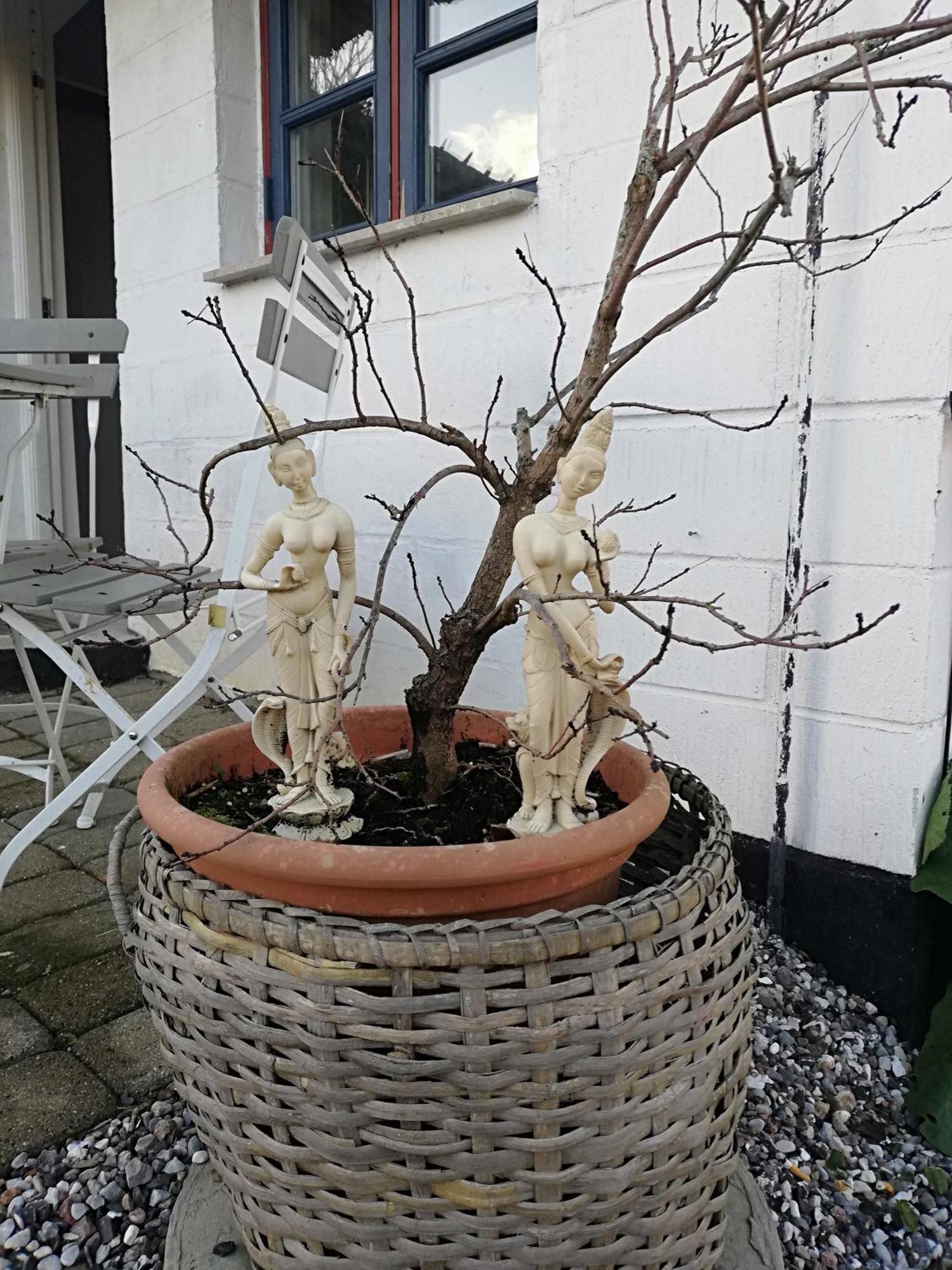 莫鲁The Whispering Apple Garden Retreat公寓 外观 照片